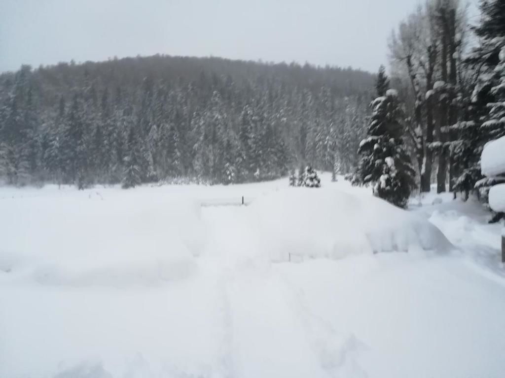 Проживание в семье Pokoje goscinne na Gasienicowym Potoku Закопане